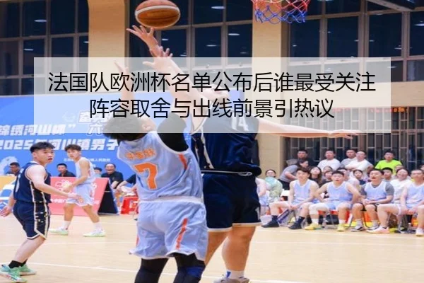 法国队欧洲杯名单公布后谁最受关注 阵容取舍与出线前景引热议